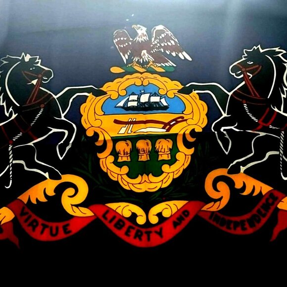 NEW 3 X 5 Ft Pennsylvania PA State Flag Heavyweight Nylon Double Stitched USA - Picture 1 of 7